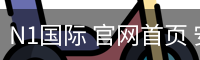 N1国际